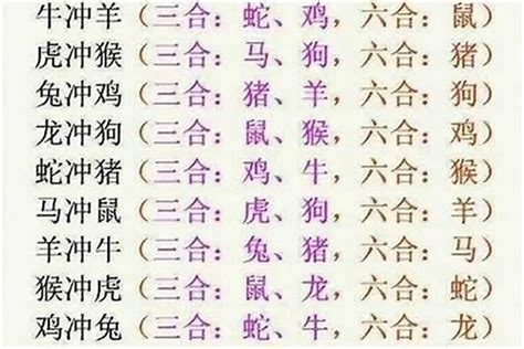 蛇牛三合|《易经》十二生肖三合、六合解析！